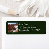 Bryce Canyon Natural Bridge Snowy Landscape Foto Etiket (Insitu)