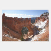 Bryce Canyon Natural Bridge Snowy Landscape Foto Inpakpapier Vel (Voorkant)