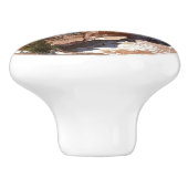 Bryce Canyon Natural Bridge Snowy Landscape Foto Keramische Knop (Zijkant)