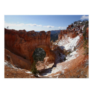 Bryce Canyon Natural Bridge Snowy Landscape Foto Perfect Poster