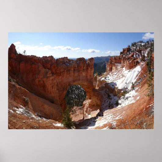 Bryce Canyon Natural Bridge Snowy Landscape Foto Poster (Voorkant)