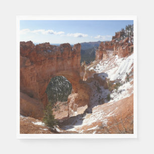 Bryce Canyon Natural Bridge Snowy Landscape Foto Servet