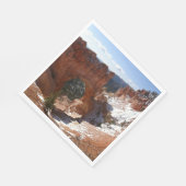 Bryce Canyon Natural Bridge Snowy Landscape Foto Servet (Hoek)