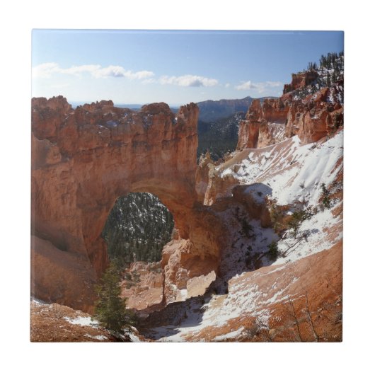 Bryce Canyon Natural Bridge Snowy Landscape Foto Tegeltje (Voorkant)