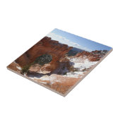 Bryce Canyon Natural Bridge Snowy Landscape Foto Tegeltje (Zijkant)