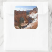 Bryce Canyon Natural Bridge Snowy Landscape Foto Vierkante Sticker (Tas)