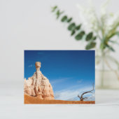 Bryce Canyon NP - Gnome en een boom briefkaart (Staand voorkant)