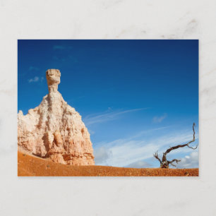 Bryce Canyon NP - Gnome en een boom briefkaart