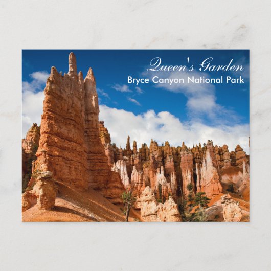 Bryce Canyon NP - Queens Garden postcar Briefkaart (Voorkant)
