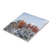 Bryce Canyon Tegeltje (Zijkant)