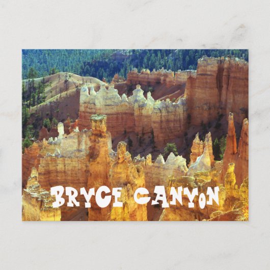 Bryce Canyon Travel Briefkaart (Voorkant)