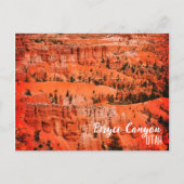 Bryce Canyon, Ut Briefkaart (Voorkant)