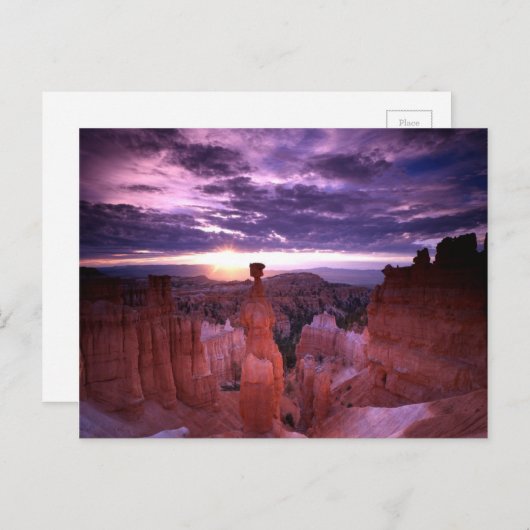 Bryce Canyon Utah National Park Thors Hammer Plain Briefkaart (Voorkant / Achterkant)