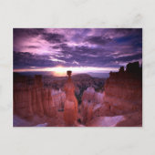 Bryce Canyon Utah National Park Thors Hammer Plain Briefkaart (Voorkant)
