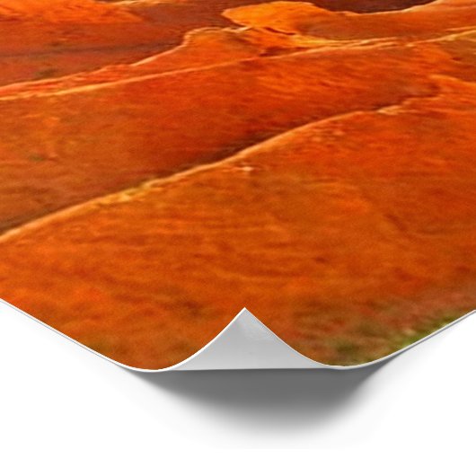 Bryce canyon Utah poster VAN 8.99 (Hoek)