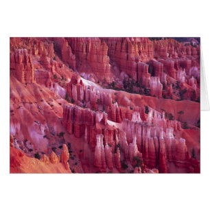 Bryce Canyon, Utah, Verenigde Staten
