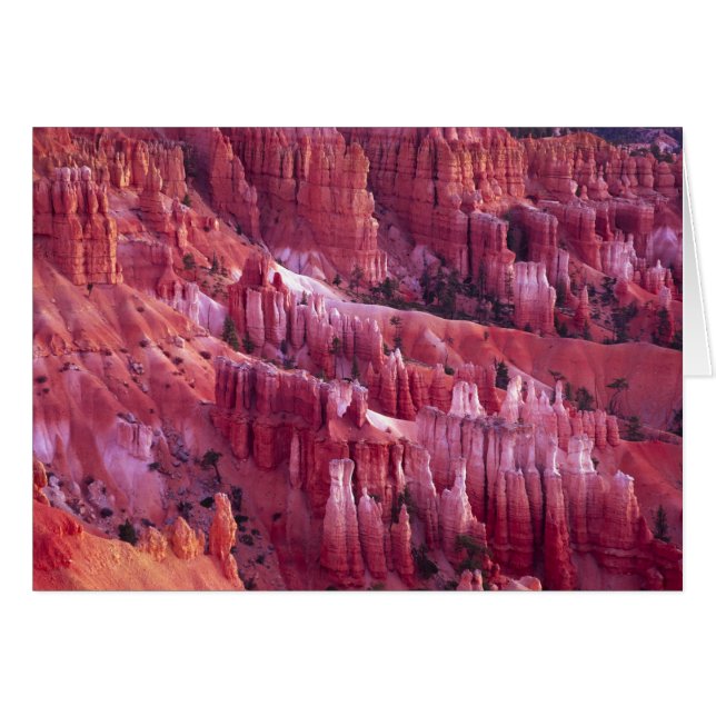 Bryce Canyon, Utah, Verenigde Staten (Voorkant Horizontaal)