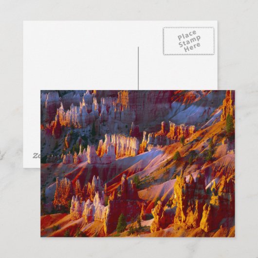 Bryce Canyon, Utah, Verenigde Staten 2 Briefkaart (Voorkant / Achterkant)