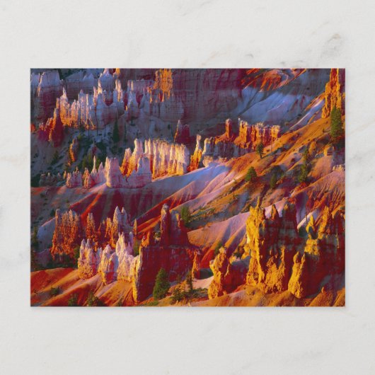 Bryce Canyon, Utah, Verenigde Staten 2 Briefkaart (Voorkant)