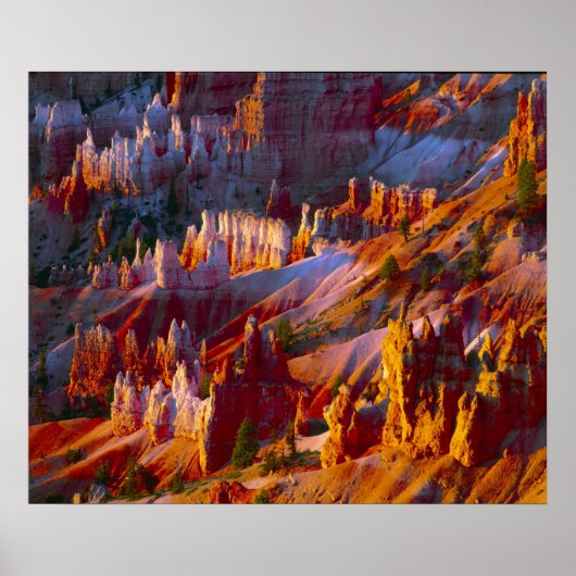 Bryce Canyon, Utah, Verenigde Staten 2 Poster (Voorkant)