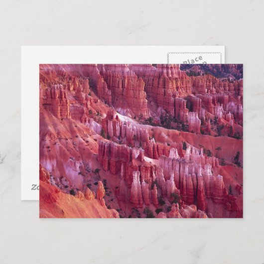 Bryce Canyon, Utah, Verenigde Staten Briefkaart (Voorkant / Achterkant)