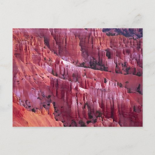 Bryce Canyon, Utah, Verenigde Staten Briefkaart (Voorkant)