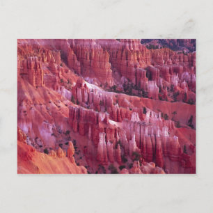 Bryce Canyon, Utah, Verenigde Staten Briefkaart