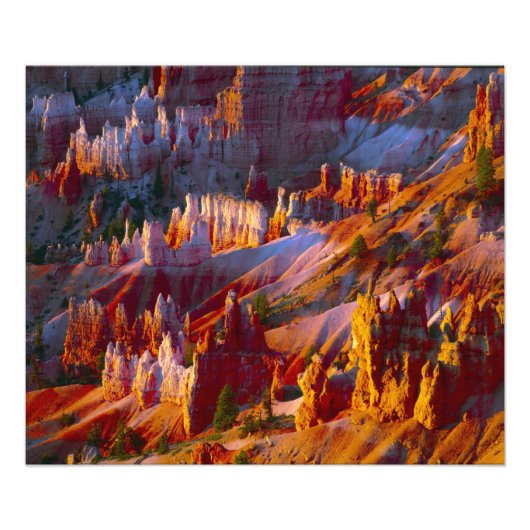 Bryce Canyon, Utah, VS 2 Foto Afdruk (Voorkant)