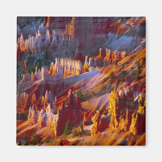 Bryce Canyon, Utah, VS 2 Magneet (Voorkant)