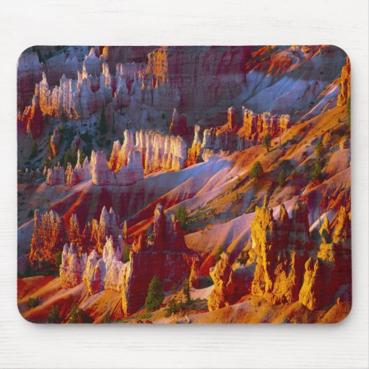Bryce Canyon, Utah, VS 2 Muismat (Voorkant)
