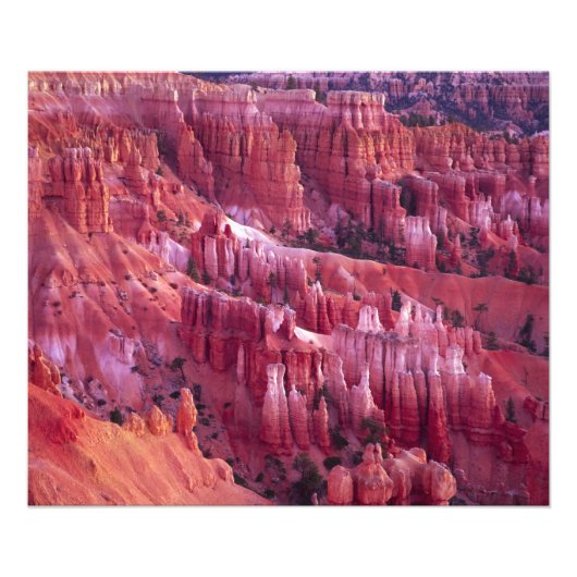 Bryce Canyon, Utah, VS Foto Afdruk (Voorkant)