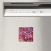 Bryce Canyon, Utah, VS Magneet (Insitu (Vaatwasser))