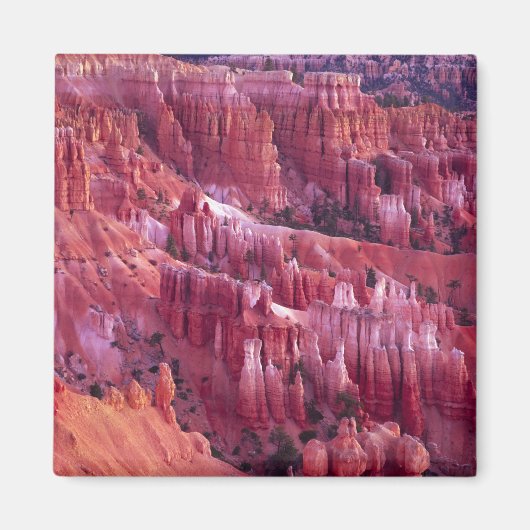 Bryce Canyon, Utah, VS Magneet (Voorkant)