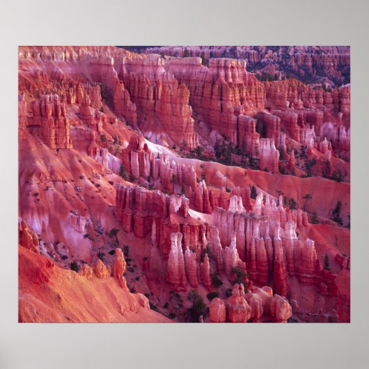 Bryce Canyon, Utah, VS Poster (Voorkant)