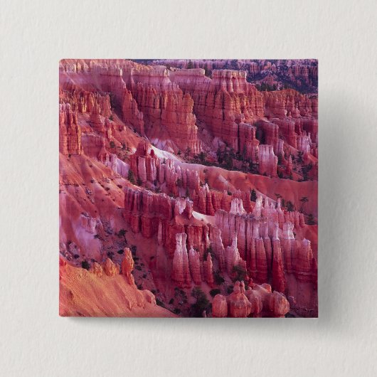 Bryce Canyon, Utah, VS Vierkante Button 5,1 Cm (Voorkant)
