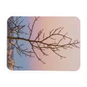 Bryce Canyon, Utah. Zijboom voor zonsondergang Magneet (Horizontaal)