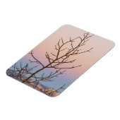 Bryce Canyon, Utah. Zijboom voor zonsondergang Magneet (Linkerzijde)