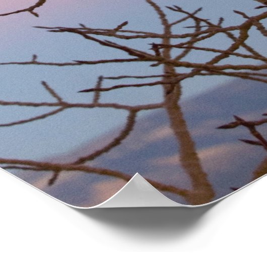 Bryce Canyon, Utah. Zijboom voor zonsondergang Poster (Hoek)