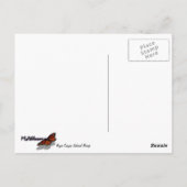 Bryce Point in Bryce Canyon National Park Briefkaart (Achterkant)