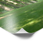 Bryn Mawr College Foto print seniorrow bomen Afdruk (Hoek)