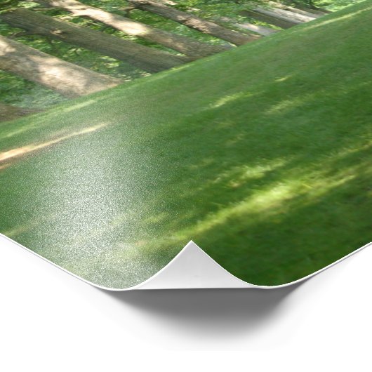 Bryn Mawr College Foto print seniorrow bomen Foto Afdruk (Hoek)