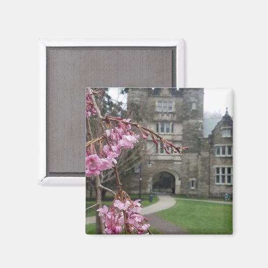 Bryn Mawr College in het voorjaar Pem Arch Magneet (Voorkant / Achterkant)