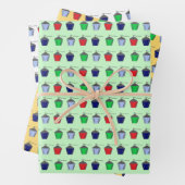 Bryn Mawr Lantern Inpakpapier Vel (In situ)