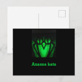 Bryn Mawr Owl Lantern Green briefkaart (Voorkant / Achterkant)