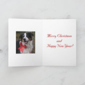 "Bryn met een buik" Feestdagen Kaart (Binnen)