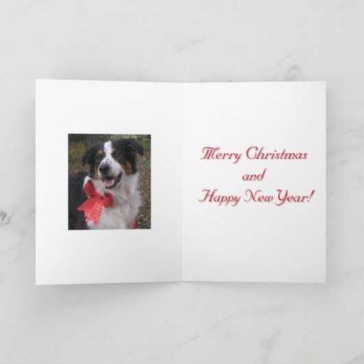 "Bryn met een buik" Feestdagen Kaart (Binnen)