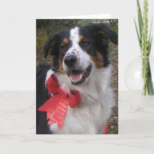"Bryn met een buik" Feestdagen Kaart