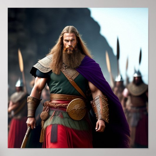 Brynjar de Viking Poster (Voorkant)