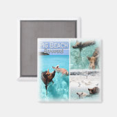 BS0018 Amerika, Bahama's, Koelkast Magneet (Voorkant / Achterkant)