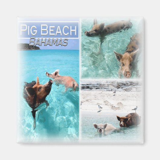 BS0018 Amerika, Bahama's, Koelkast Magneet (Voorkant)